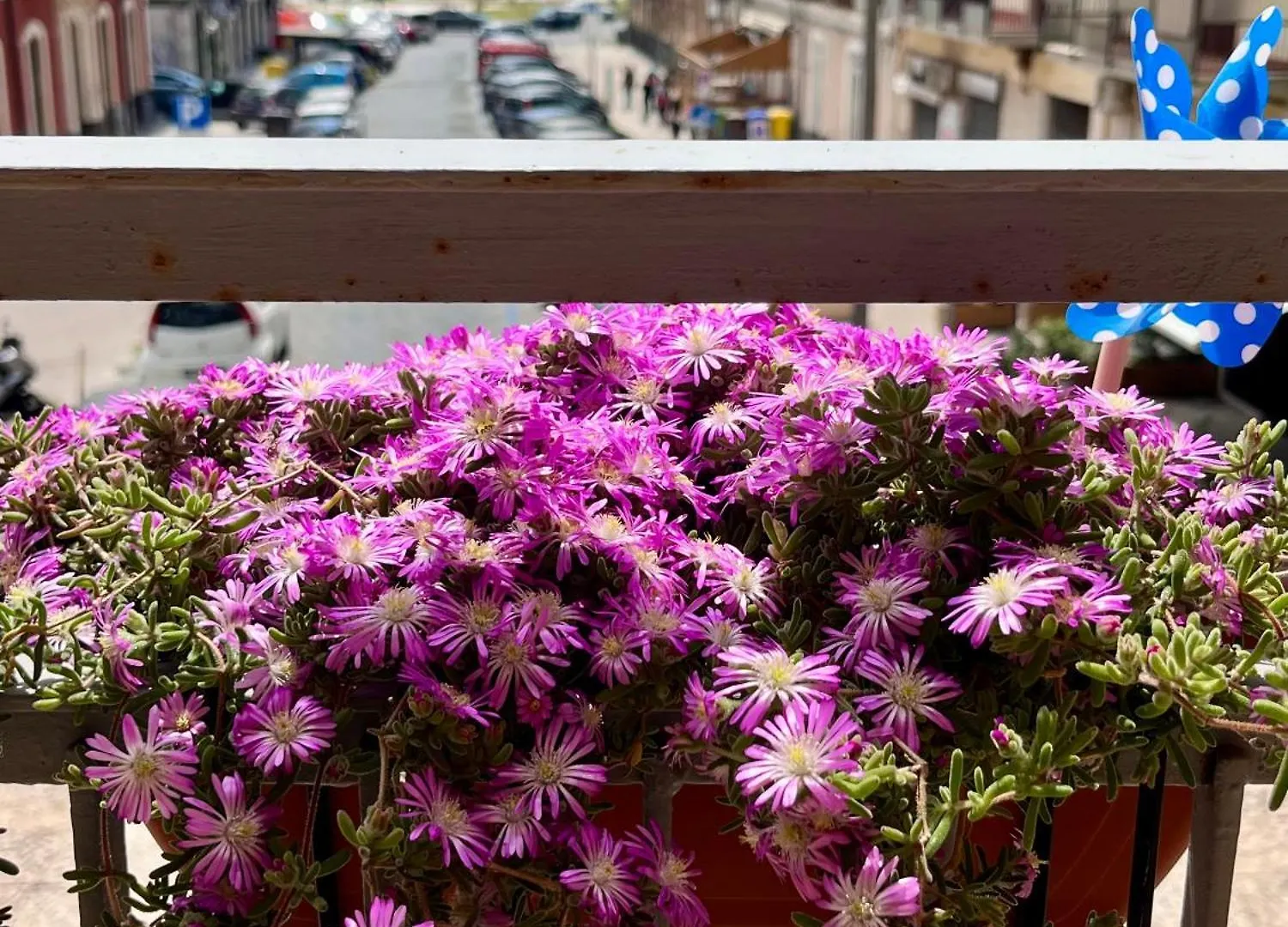 Happy Home Catania-Fontanarossai nemzetközi repülőtér 0*, Catania